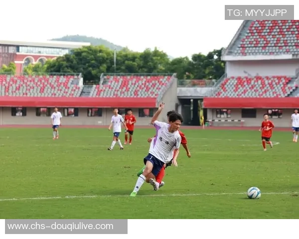 足球项目的魅力与发展探索如何提升青少年参与度与竞技水平